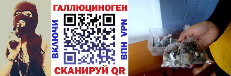 Галлюциногенные грибы Magic Shrooms  что такое   Мценск 